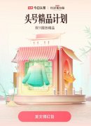 今日头条「双11头号国货精